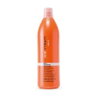 Шампунь питательный для увлажнения сухих и пористых волос Dry-T Shampoo Dry-T Inebrya, 1000 мл
