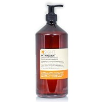 Шампунь антиоксидант для перегруженных волос Rejuvenating Shampoo 900 мл